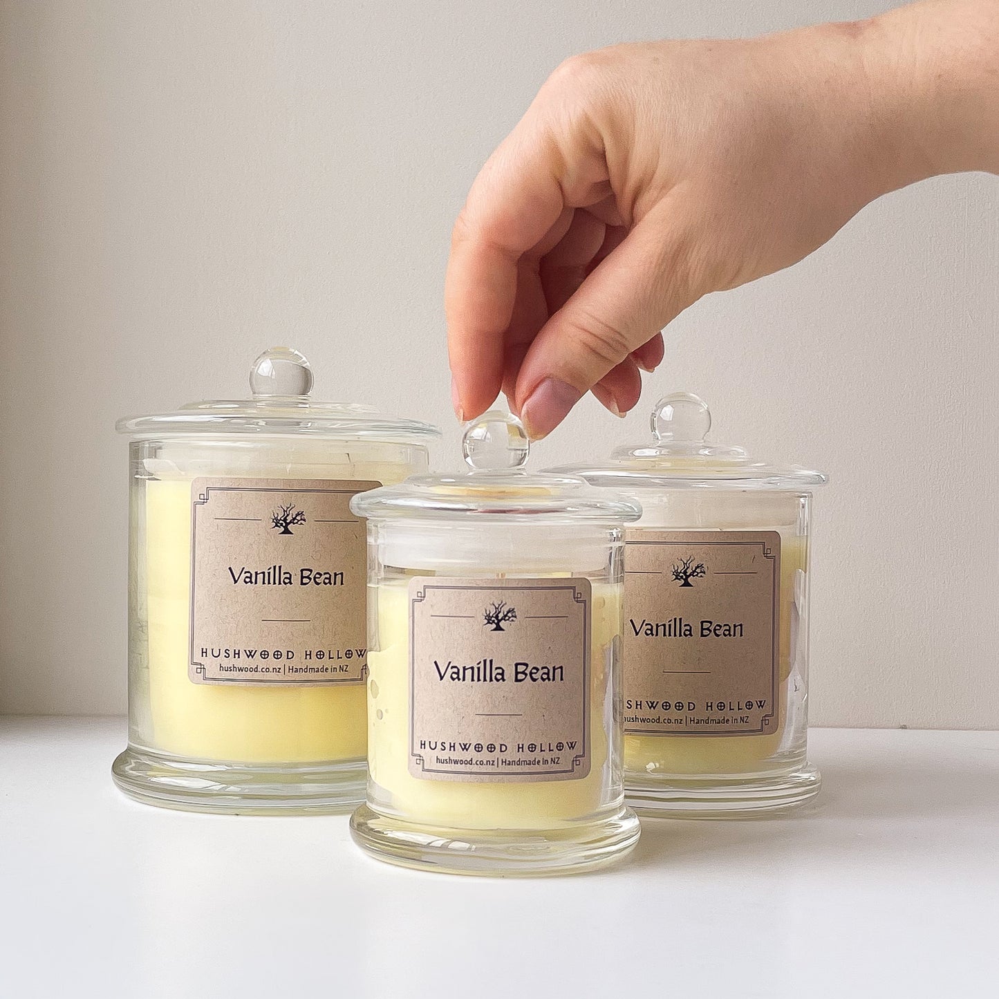 Soy Candle - Vanilla Bean - Hushwood Hollow