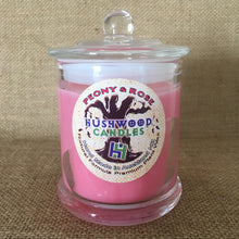 Load image into Gallery viewer, Peony and Rose - Large Candle - Hushwood Hollow