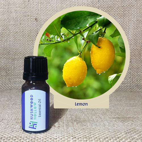 Lemon - Pure Therapeutic Grade Essential Oil - Hushwood Hollow