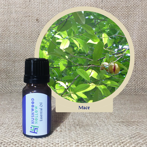 Mace - Pure Therapeutic Grade Essential Oil - Hushwood Hollow