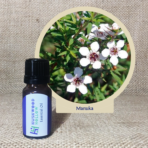 Manuka - Pure Therapeutic Grade Essential Oil - Hushwood Hollow