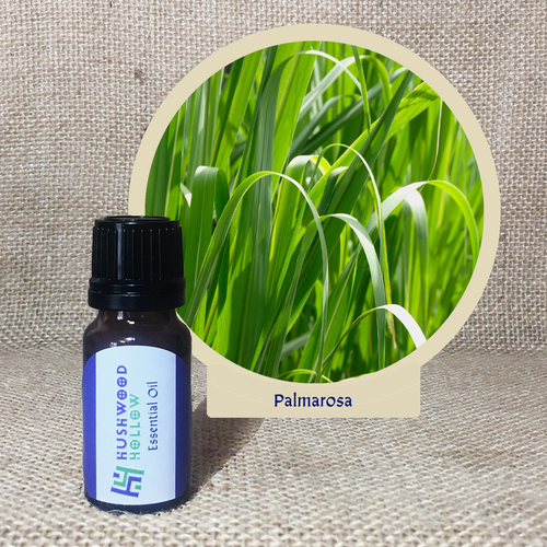 Palmarosa - Pure Therapeutic Grade Essential Oil - Hushwood Hollow