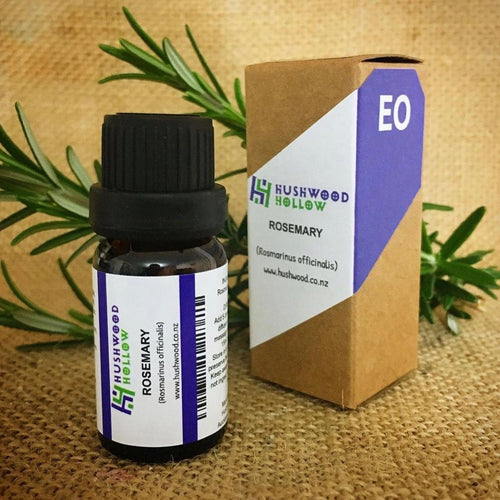 Rosemary - Pure Essential Oil - Hushwood Hollow