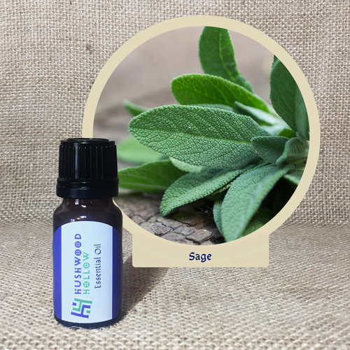 Sage - Pure Therapeutic Grade Essential Oil - Hushwood Hollow