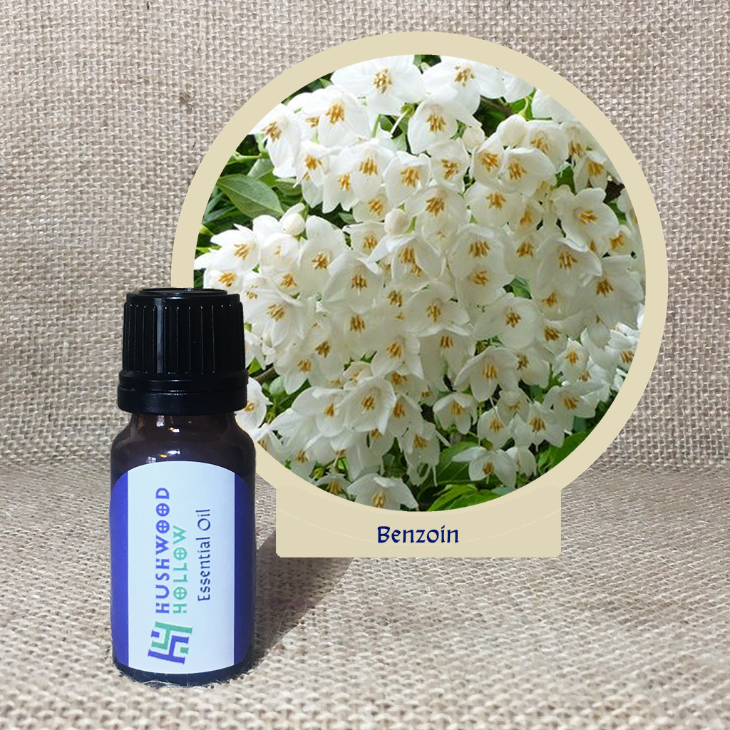 Benzoin 20% tincture - Pure Therapeutic Grade Essential Oil - Hushwood Hollow