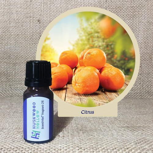 Citrus - ScentMist® Fragrance Oil - 10ml - Hushwood Hollow