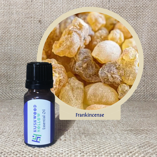Frankincense - Pure Therapeutic Grade Essential Oil - Hushwood Hollow