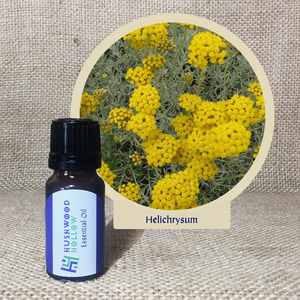 Helichrysum 5% - Pure Therapeutic Grade Essential Oil - Hushwood Hollow