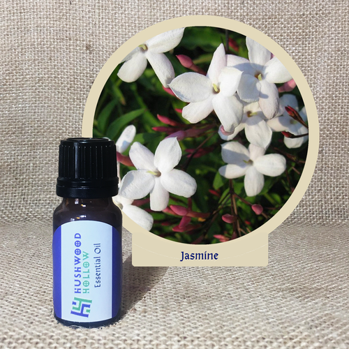 Jasmine 100% - Pure Therapeutic Grade Essential Oil - Hushwood Hollow