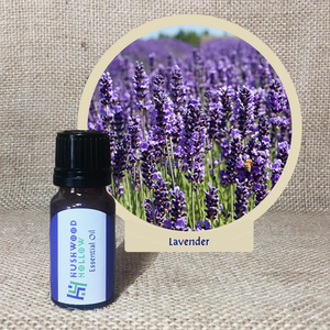 Lavender - Pure Therapeutic Grade Essential Oil - Hushwood Hollow
