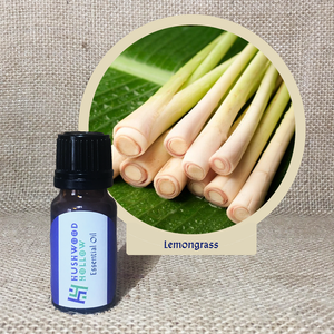 Lemongrass - Pure Therapeutic Grade Essential Oil - Hushwood Hollow