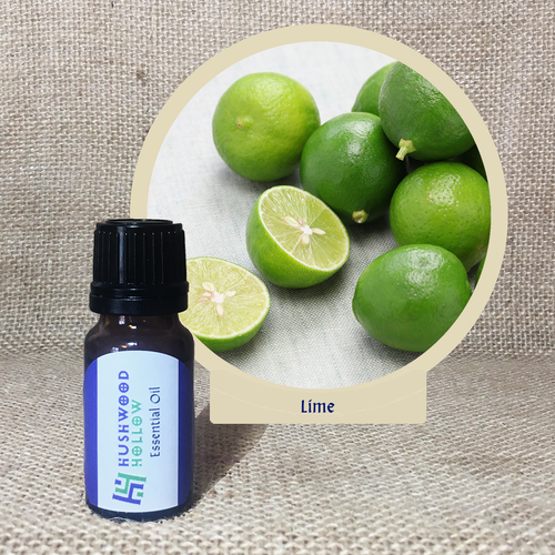 Lime - Pure Therapeutic Grade Essential Oil - Hushwood Hollow