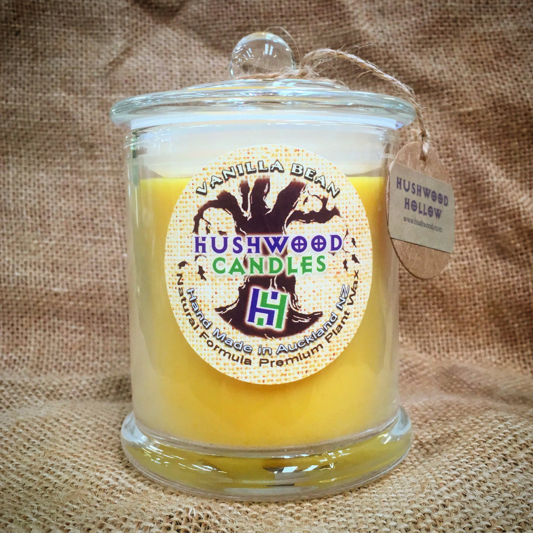 Vanilla Bean - Large Candle - Hushwood Hollow