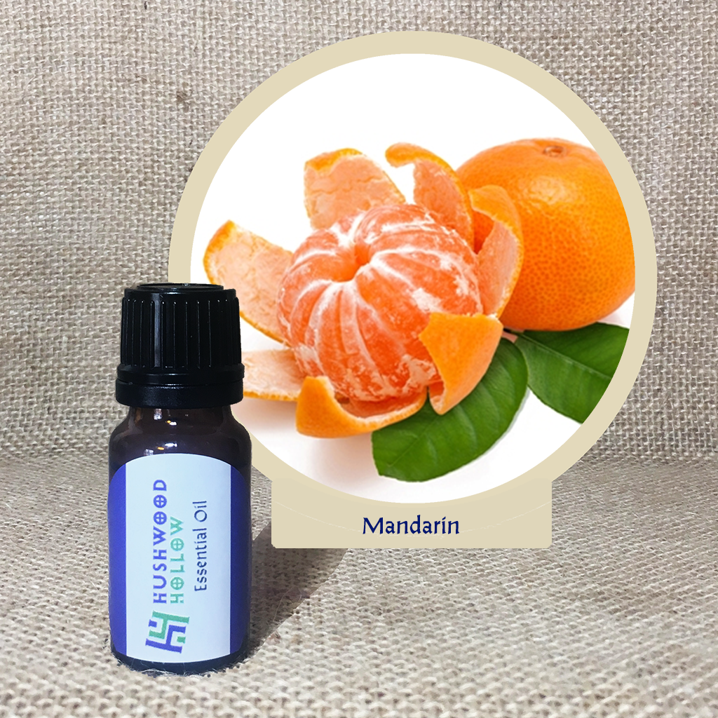 Mandarin - Pure Therapeutic Grade Essential Oil - Hushwood Hollow
