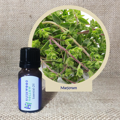 Marjoram - Pure Therapeutic Grade Essential Oil - Hushwood Hollow