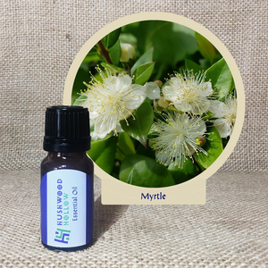 Myrtle - Pure Therapeutic Grade Essential Oil - Hushwood Hollow