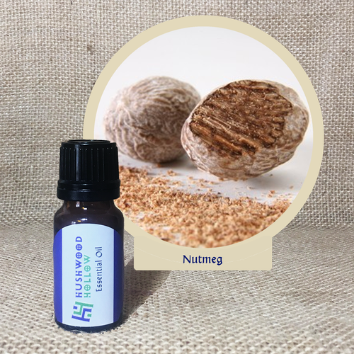 Nutmeg - Pure Therapeutic Grade Essential Oil - Hushwood Hollow