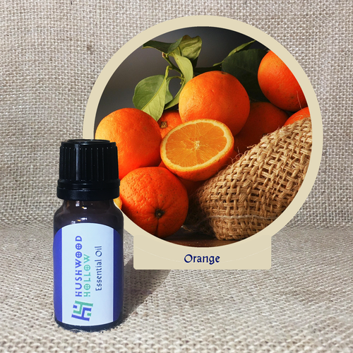 Orange - Pure Therapeutic Grade Essential Oil - Hushwood Hollow