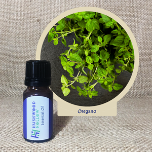 Oregano - Pure Therapeutic Grade Essential Oil - Hushwood Hollow