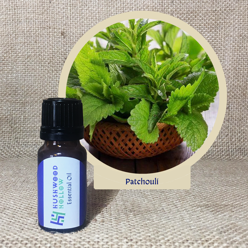 Patchouli - Pure Therapeutic Grade Essential Oil - Hushwood Hollow