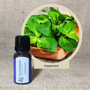 Peppermint - Pure Therapeutic Grade Essential Oil - Hushwood Hollow