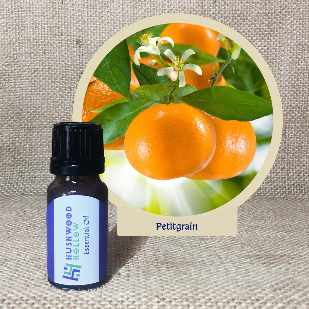 Petitgrain - Pure Therapeutic Grade Essential Oil - Hushwood Hollow