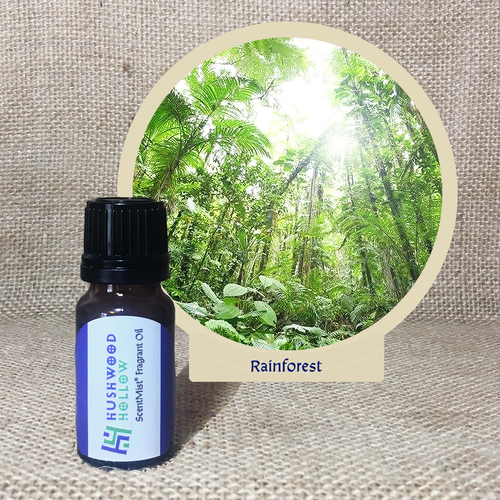 Rainforest - ScentMist® Fragrance Oil - 10ml - Hushwood Hollow