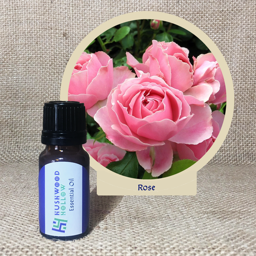 Rose 100% - Pure Therapeutic Grade Essential Oil - Hushwood Hollow