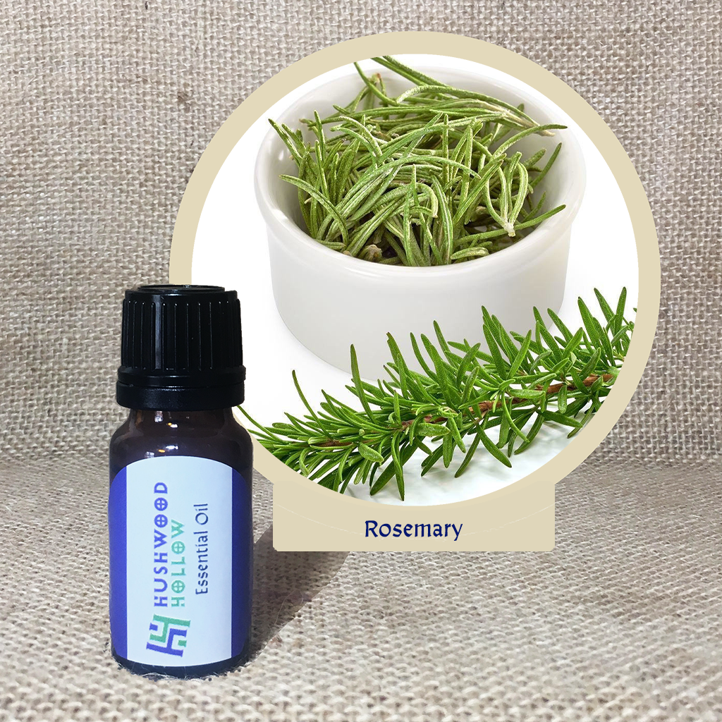 Rosemary - 20% perfumery tincture