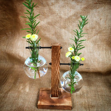 Load image into Gallery viewer, Cute Herb or Floral Display - Hushwood Hollow