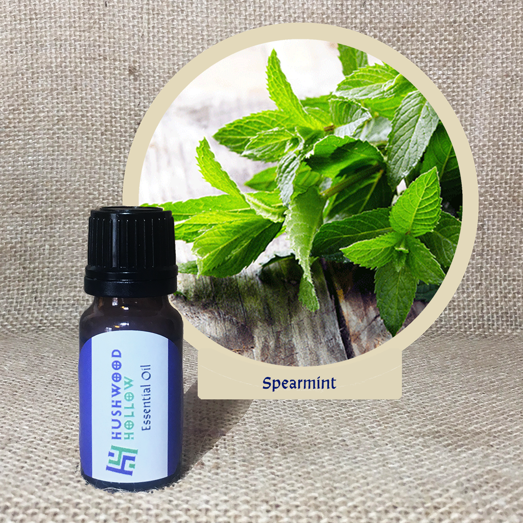 Spearmint - Pure Therapeutic Grade Essential Oil - Hushwood Hollow