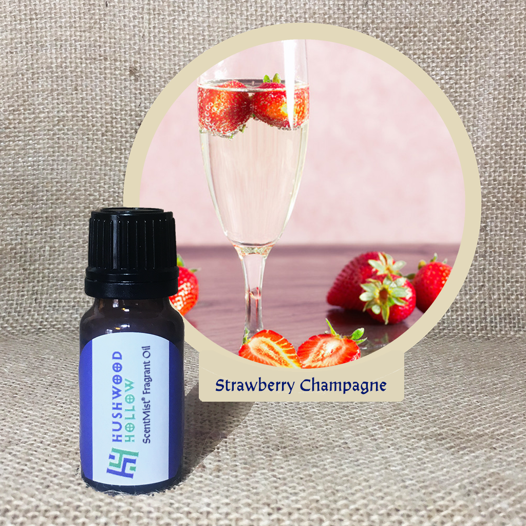 Strawberry Champagne - ScentMist® Fragrance Oil - 10ml - Hushwood Hollow
