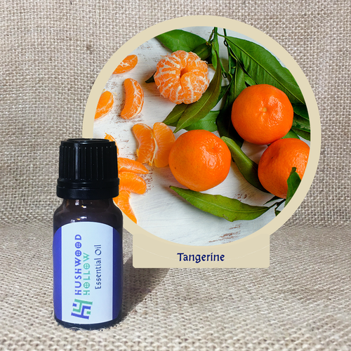 Tangerine - Pure Therapeutic Grade Essential Oil - Hushwood Hollow