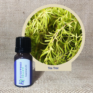 Tea Tree - 20% perfumery tincture