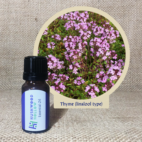 Thyme (linalool type) - Pure Therapeutic Grade Essential Oil - Hushwood Hollow
