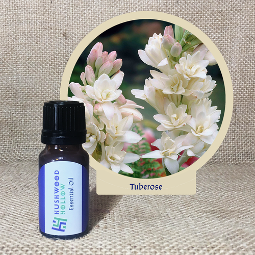 Tuberose - 20% perfumery tincture