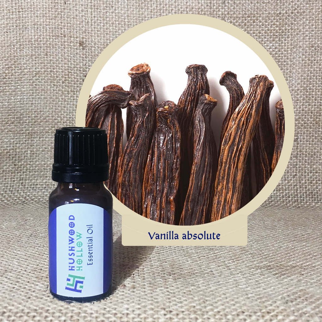Vanilla absolute - 20% perfumery tincture
