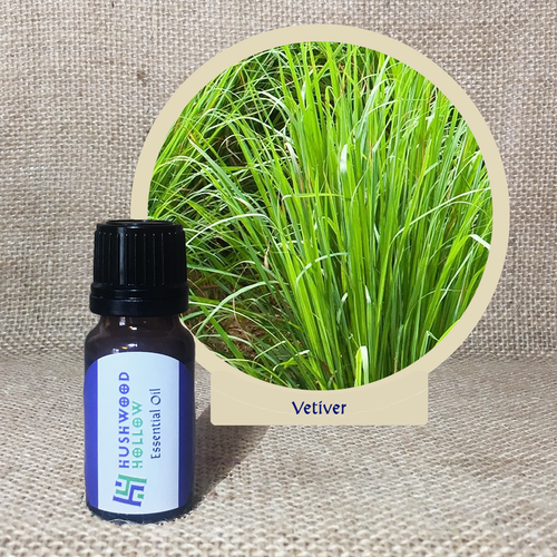 Vetiver - Pure Therapeutic Grade Essential Oil - Hushwood Hollow