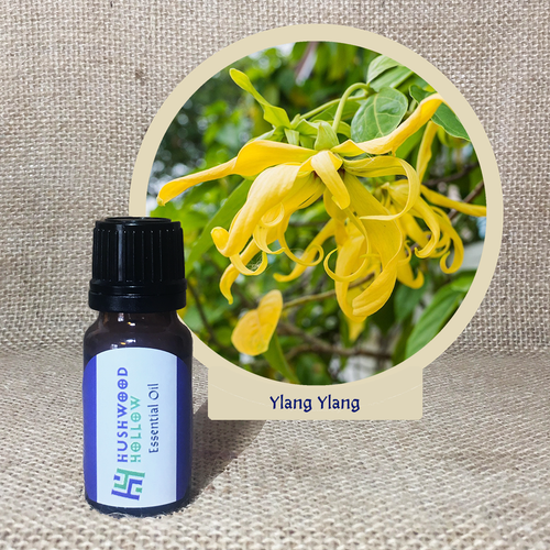 Ylang Ylang - Pure Therapeutic Grade Essential Oil - Hushwood Hollow