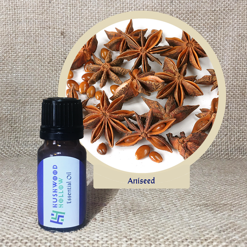 Aniseed - Pure Therapeutic Grade Essential Oil - Hushwood Hollow
