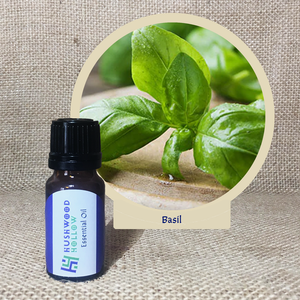 Basil - Pure Therapeutic Grade Essential Oil - Hushwood Hollow