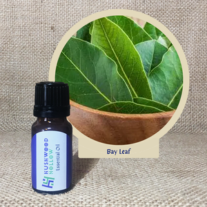 Bay Leaf - Pure Therapeutic Grade Essential Oil - Hushwood Hollow