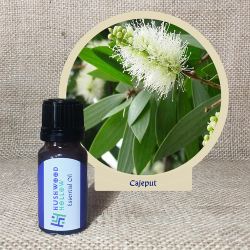 Cajeput - Pure Therapeutic Grade Essential Oil - Hushwood Hollow