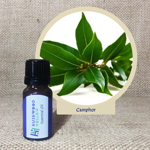 Camphor - Pure Therapeutic Grade Essential Oil - Hushwood Hollow