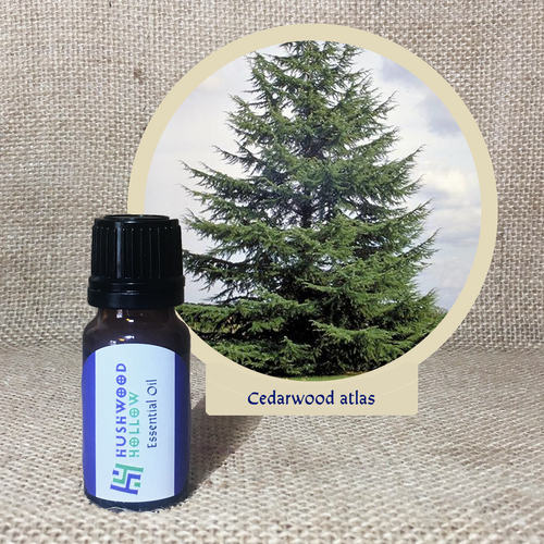 Cedarwood atlas - 20% perfumery tincture