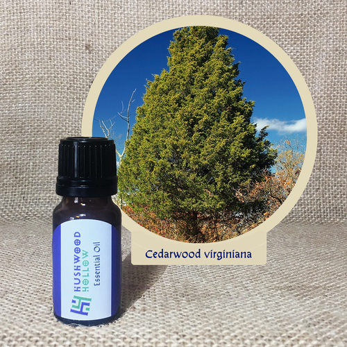 Cedarwood virginiana - Pure Therapeutic Grade Essential Oil - Hushwood Hollow