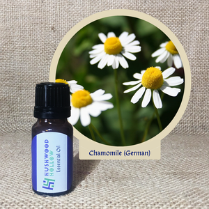 Chamomile German 5% - Pure Therapeutic Grade Essential Oil - Hushwood Hollow