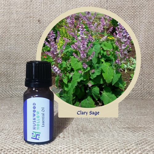 Clary Sage - Pure Therapeutic Grade Essential Oil - Hushwood Hollow