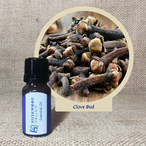 Clove Bud - Pure Therapeutic Grade Essential Oil - Hushwood Hollow