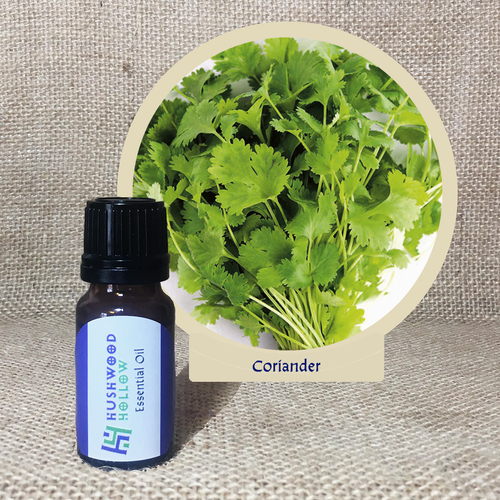 Coriander - Pure Therapeutic Grade Essential Oil - Hushwood Hollow